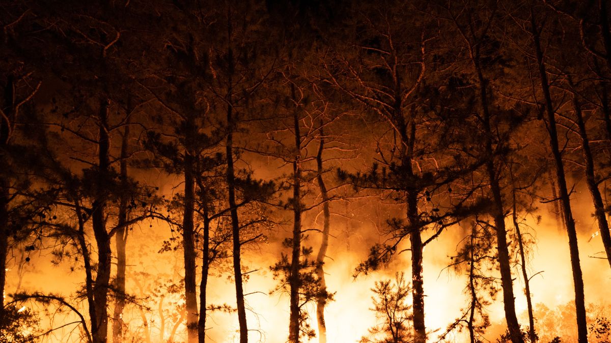 Why Wildfires Are Getting Worse?