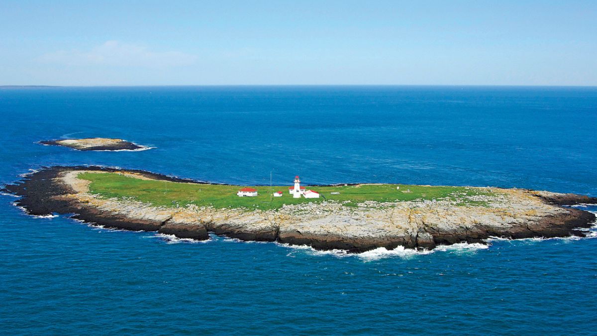 Machias Seal Island