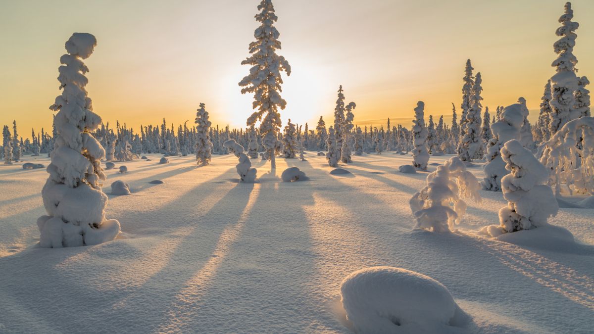 Eid in the Arctic: Muslims Who Thrive Under the Midnight Sun
