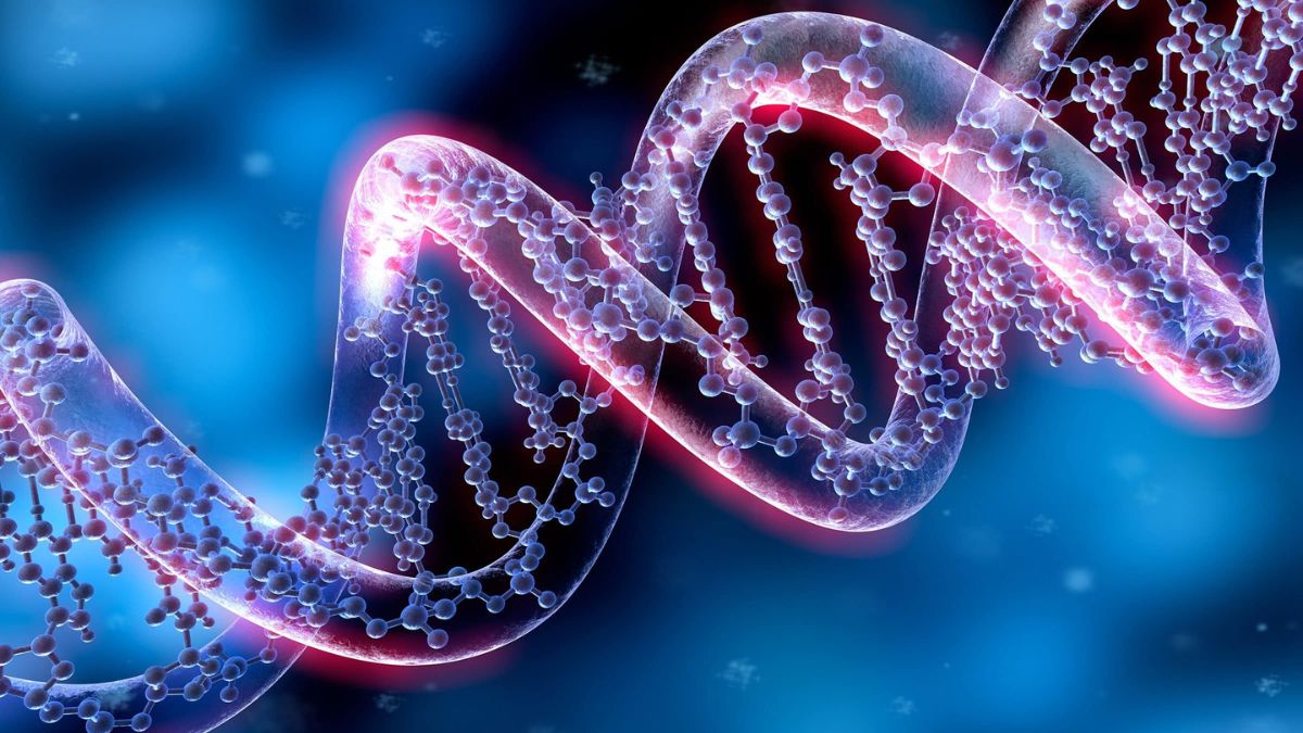 gene