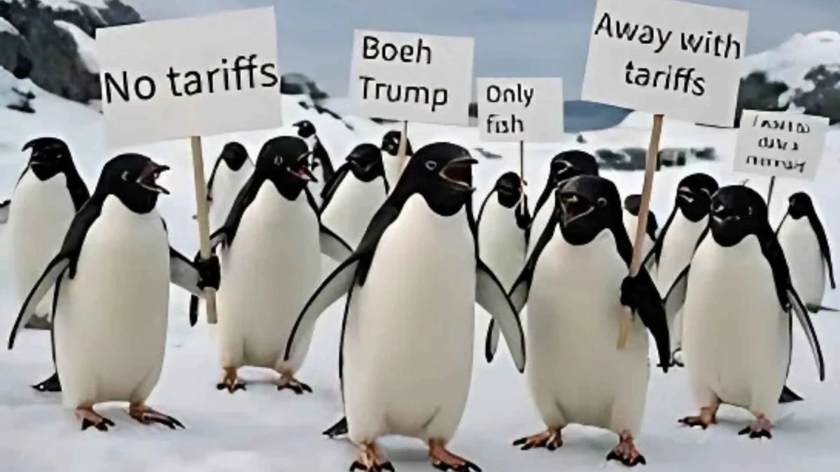 Trump Slaps Tariffs on Penguin Island—Because Sanity Is Overrated