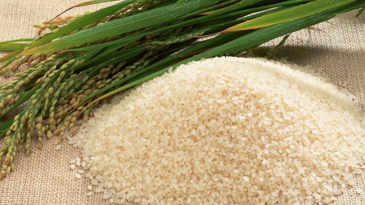 Japan Inflation Soars: Soaring Rice Prices Put Further Economic Strains 1 Japan Inflation Soars Soaring Rice Prices Put Further Economic Strains