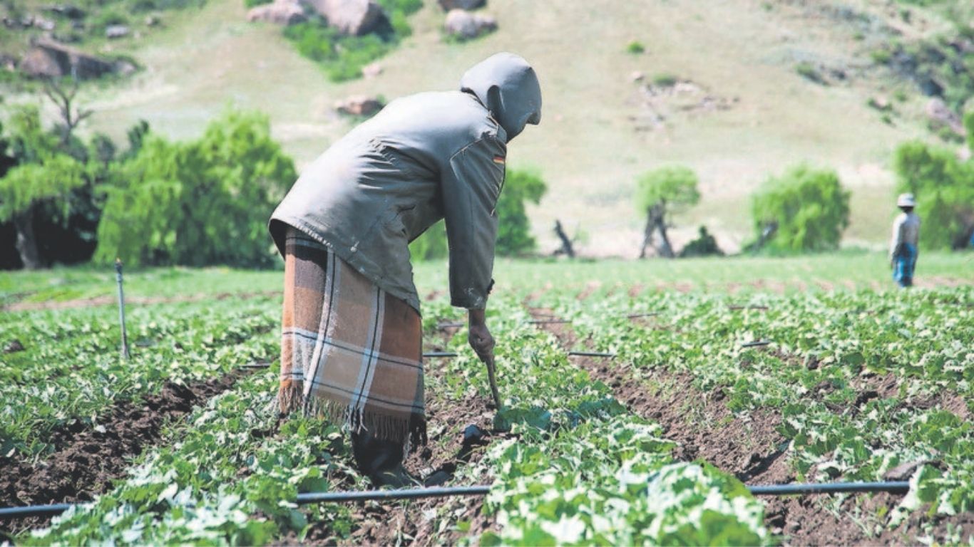 Keywords of Power: Why ‘Land Reform’ Means More Than You Think