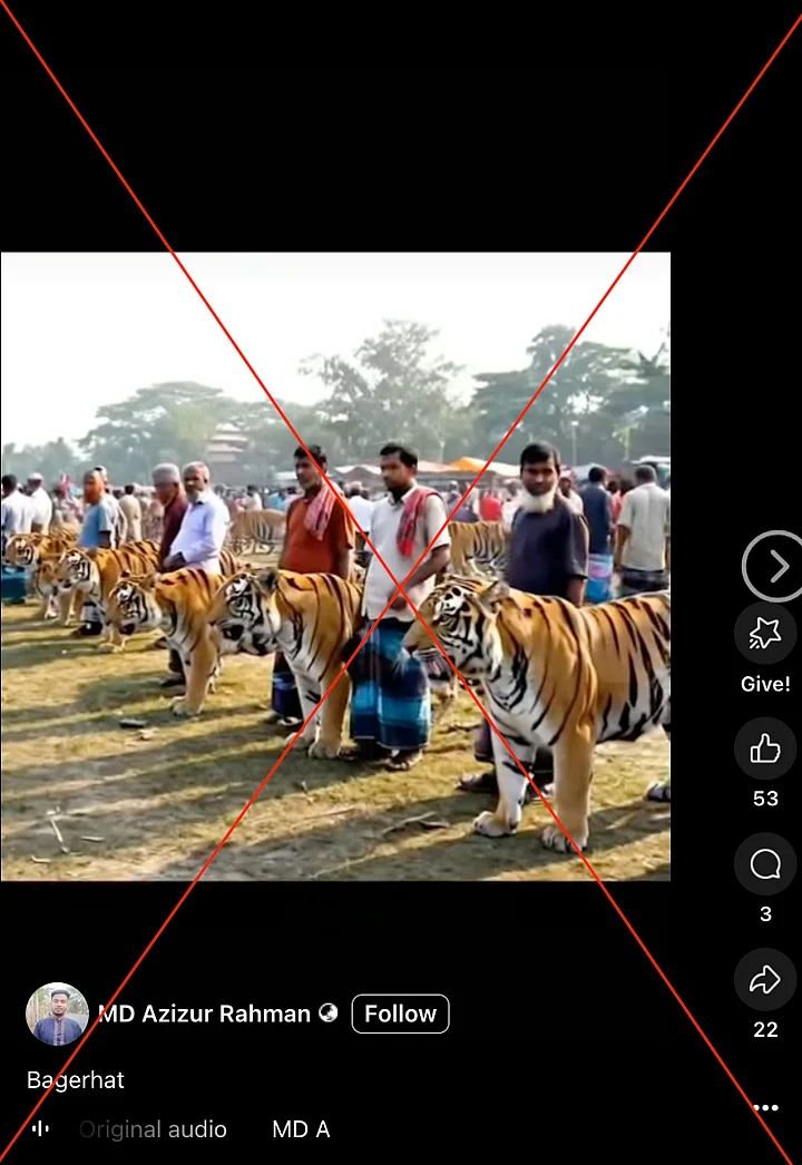 Fact Check: Is a Tiger Market in Bangladesh Real?