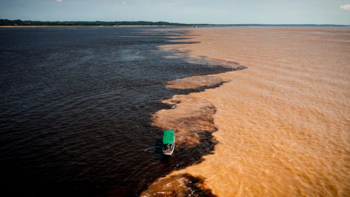 Where the Pacific and Atlantic Oceans Collide: The Hidden Drama Beneath the Waves