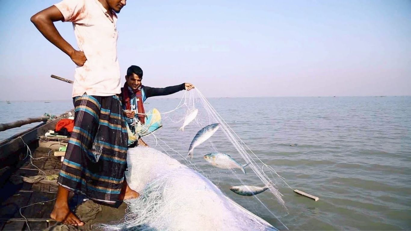 Hilsa Fever Grips Chattogram’s Coast