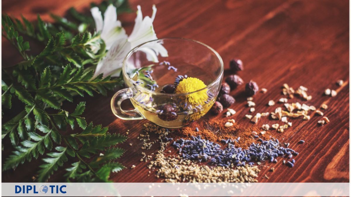 Fact Check: Can Ayurvedic Herbs Truly Replace Modern Medicine?