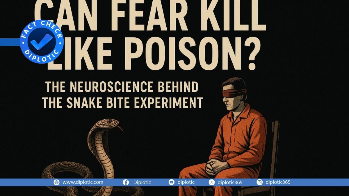 Fact Check: Can Fear Kill Like Poison? The Neuroscience Behind the Snake Bite Experiment