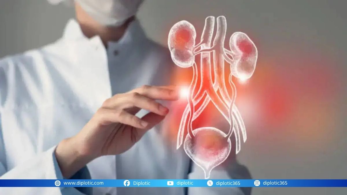 Universal Kidney Transplant for Any Blood Type
